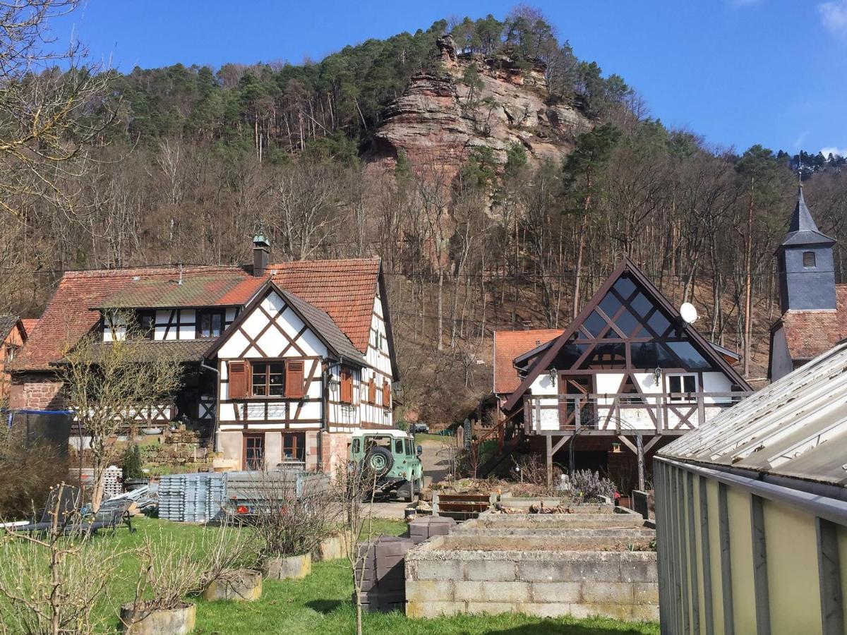 Gite Des Chateaux-Forts Obersteinbach Экстерьер фото